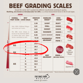 10lb Premium Wagyu Ground Beef Bundle