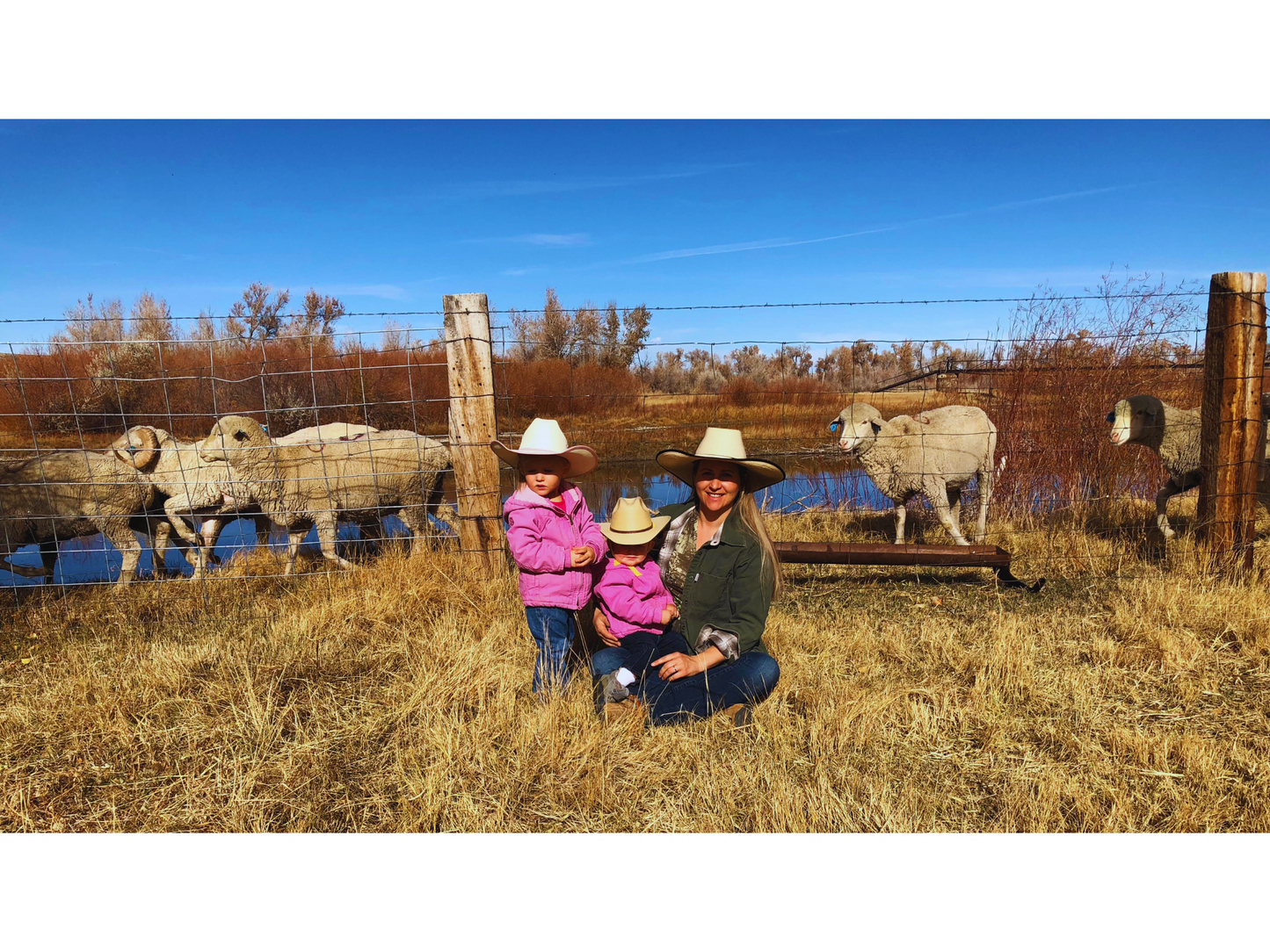 RRM LAMB BUNDLE